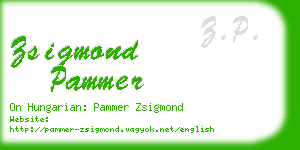 zsigmond pammer business card